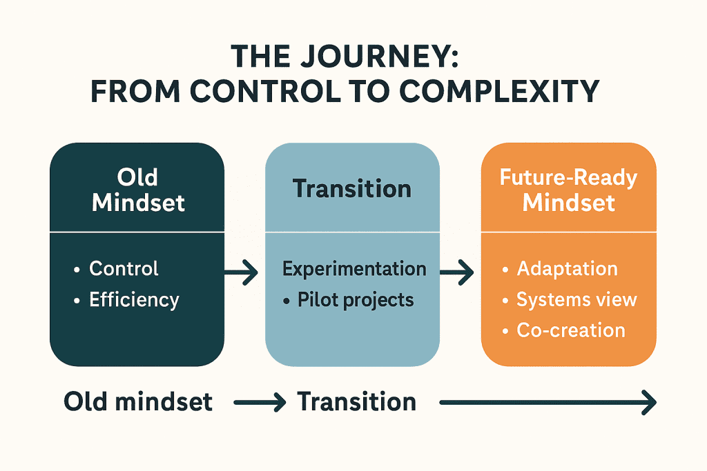 Infographic titled "The Journey: From Control to Complexity," showing three stages. "Old Mindset" has Control and Efficiency. "Transition" involves Experimentation and Pilot projects. "Future-Ready Mindset" includes Adaptation, Systems view, and Co-creation.
